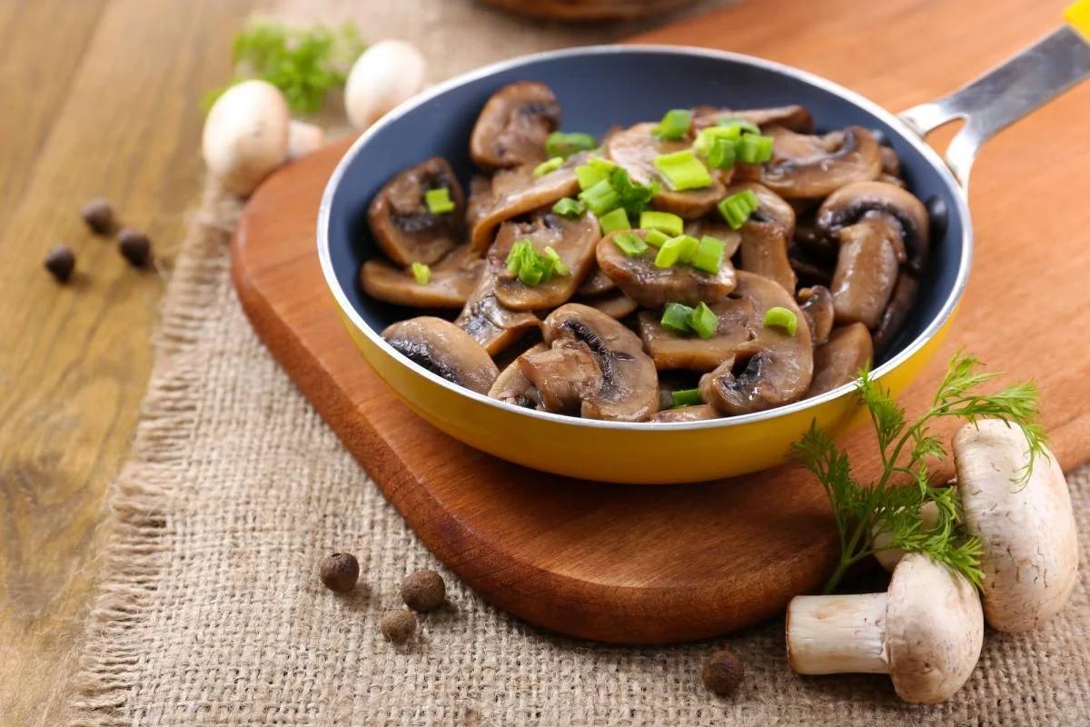 Propiedades útiles de los hongos